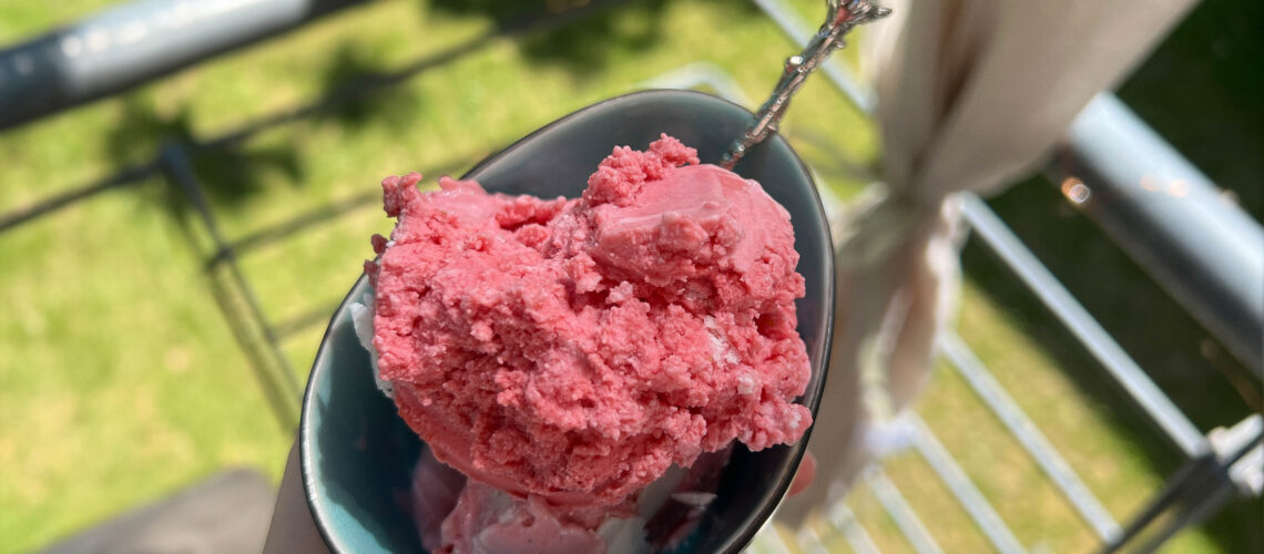 Frozen Joghurt Erdbeer Eis Ninja Creami Rezept