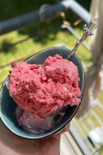 Frozen Joghurt Erdbeer Eis Ninja Creami Rezept