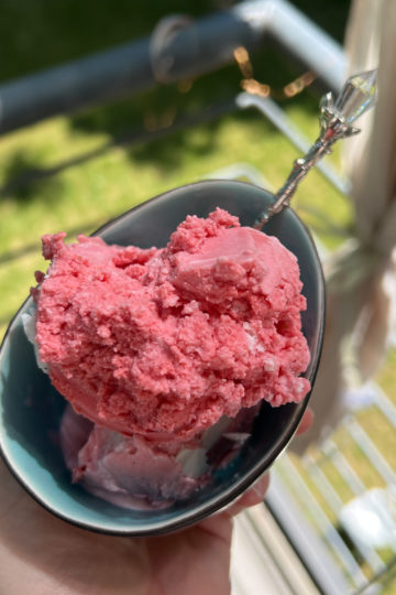 Frozen Joghurt Erdbeere - Ninja Creami Rezept