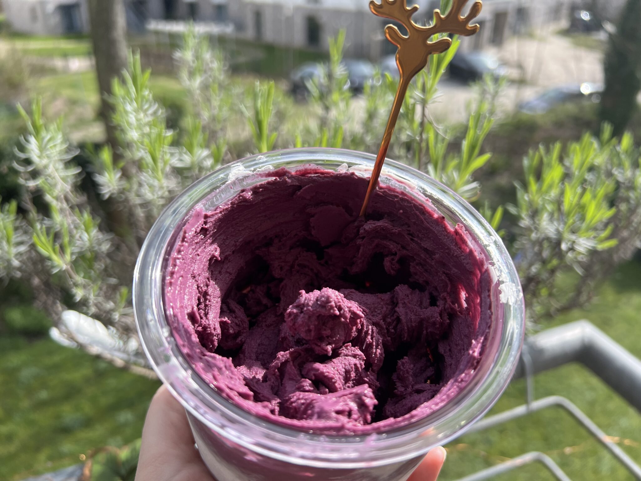 Blueberry Cheesecake Eis - Ninja Creami Rezept - Rezeptwunder