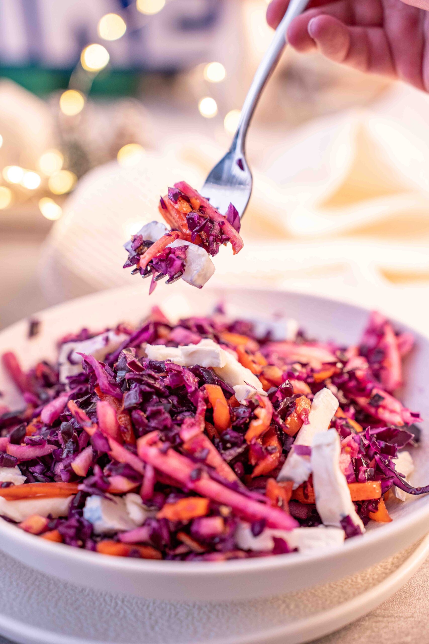 Rotkohl Salat mit Ziegenkäse