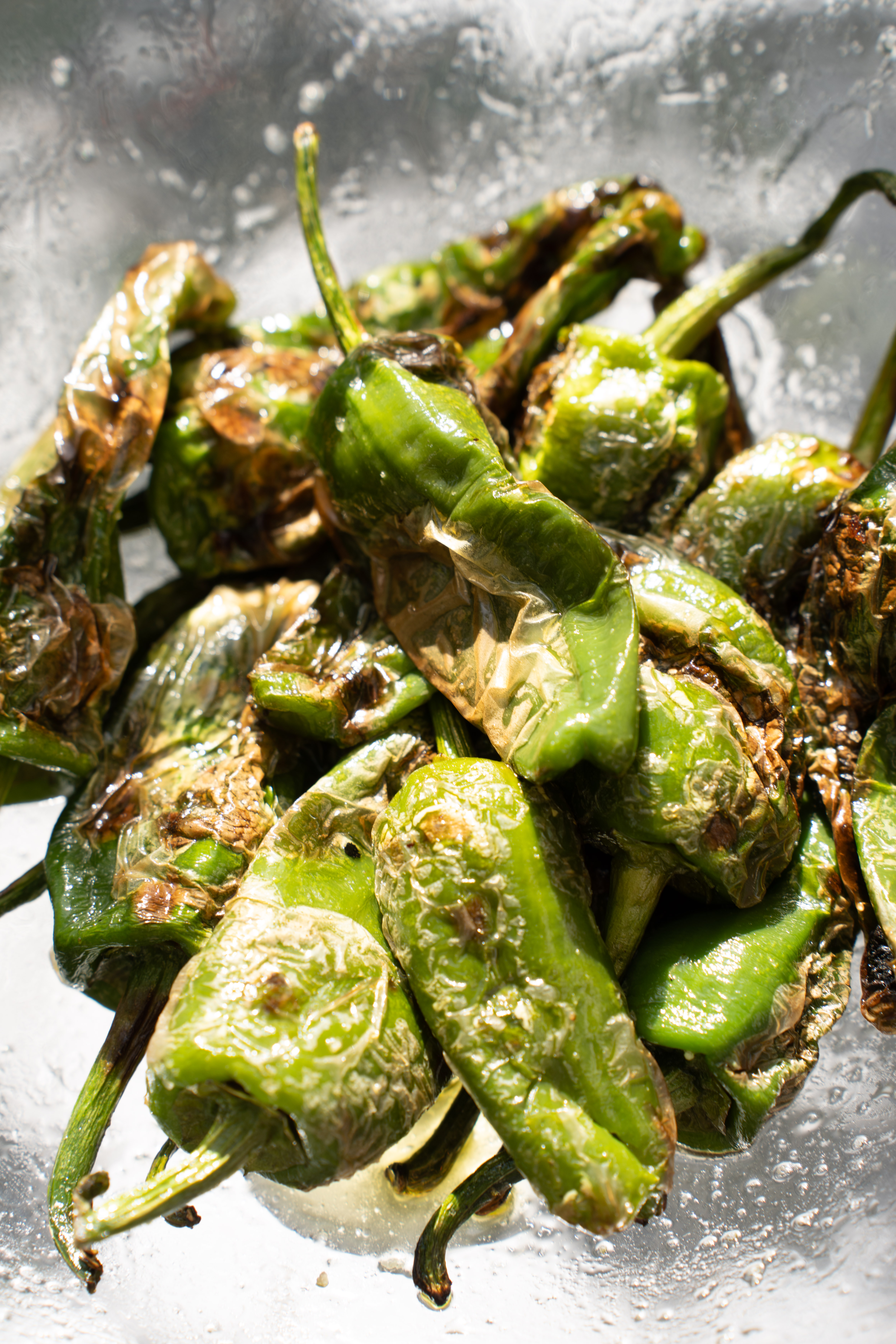 Pimientos de Padrón