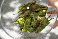 Pimientos de Padrón